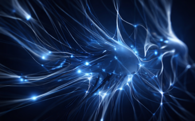 AiNJA Morning Briefing 20.02.2026